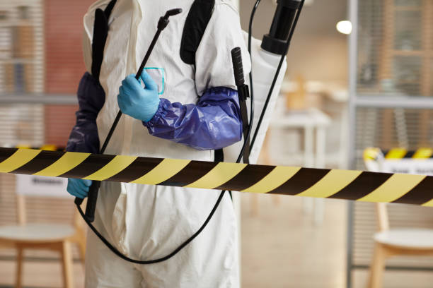 Professional Hoarding Cleanup technician working in Johannesburg, CA