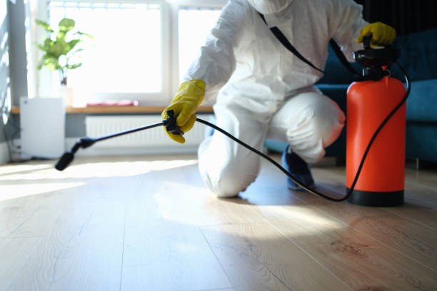 Reliable Hoarding Cleanup contractor in Johannesburg, CA by Trauma Clean Pros